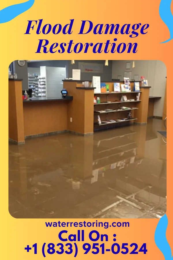Flood Damage Restoration in Justice Addition, WV