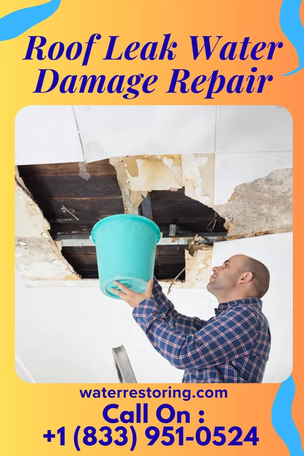 Roof Leak Water Damage Repair in Justice Addition, WV